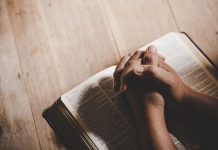Dom Adelar: “A Bíblia é uma narração do amor de Deus pela humanidade”
