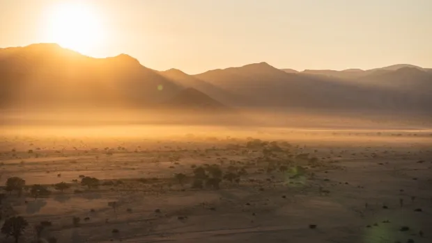 shutterstock_2520470077-Duzy