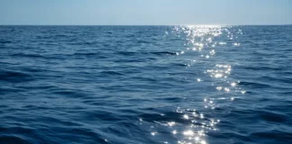 Ano novo: Uma reflexão sobre esperança, fé e o convite a viver de verdade