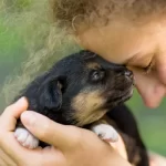 O poder de cura dos animais de estimação