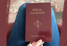 MÊS DA BÍBLIA 2021: TRADUÇÃO OFICIAL DA BÍBLIA DA CNBB TEM SIDO REFERÊNCIA NA FORMAÇÃO PESSOAL E PASTORAL NA IGREJA NO BRASIL