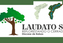 “PROJETO LAUDATO SI: REFLORESTANDO O CERRADO” DA DIOCESE DE BALSAS (MA) PRETENDE PLANTAR 8 MILHÕES DE ÁRVORES EM 8 ANOS