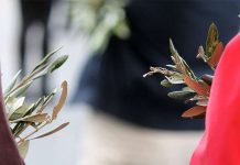 Nove coisas que deve saber sobre o Domingo de Ramos