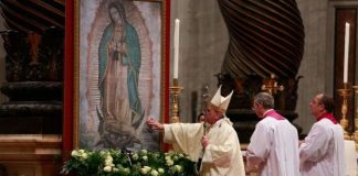 Papa celebrará Missa por Nossa Senhora de Guadalupe no Vaticano em 12 de dezembro