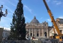 A árvore de natal de 2021 chega ao Vaticano