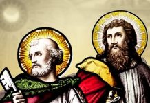 “Pedro e Paulo são um exemplo, uma norma de vida para todos nós”, afirma dom Orani